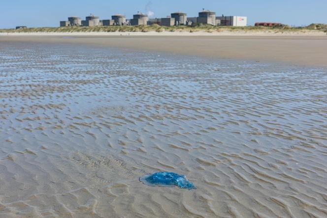 Réduction de la Puissance Nucléaire en France en Raison de Problèmes Environnementaux