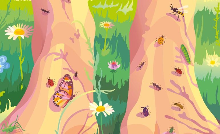 La Biodiversité : Défis et Solutions