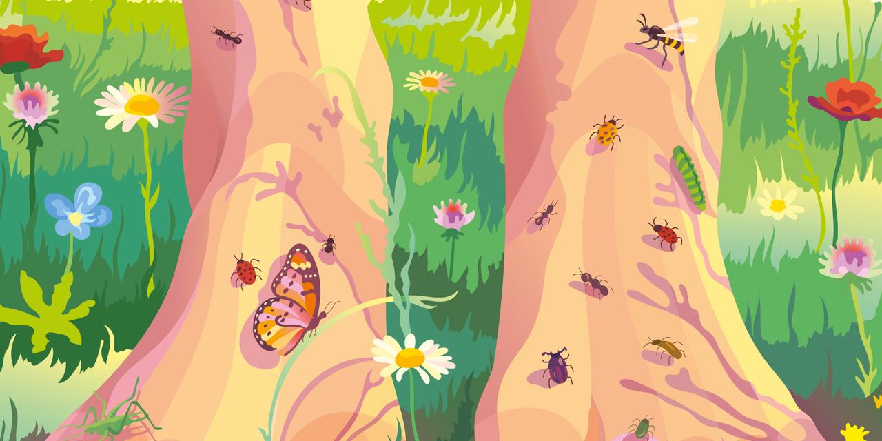 La Biodiversité : Défis et Solutions