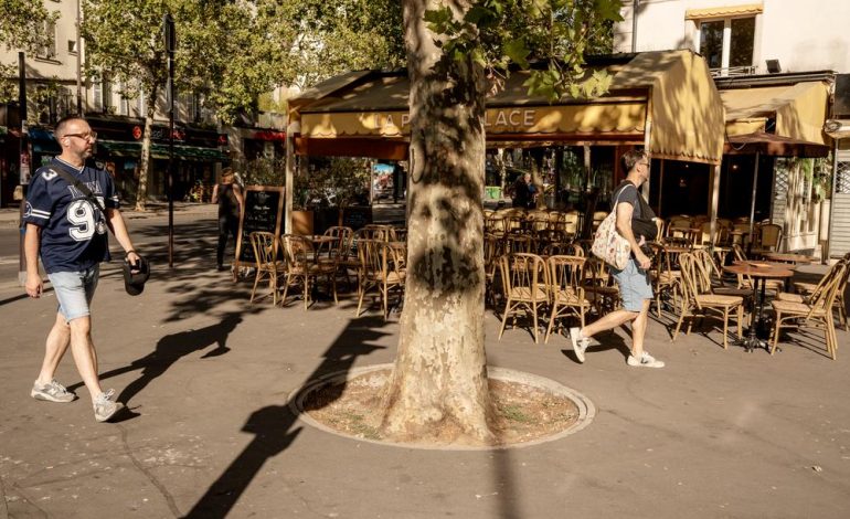 Défis climatiques en France : Sécheresse, incendies et impacts économiques