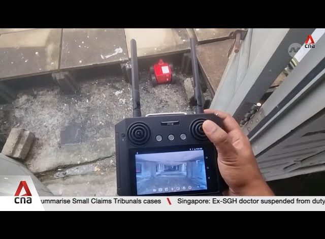 Lutte innovante contre la dengue à Singapour
