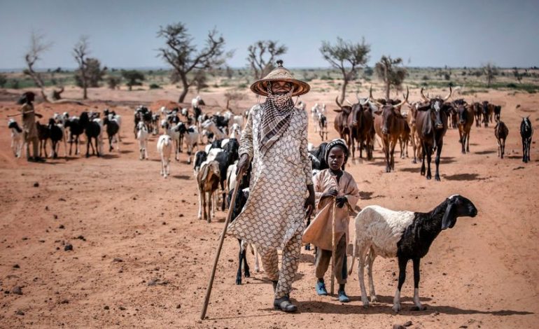 La COP17 : Focus sur la lutte contre la désertification des sols