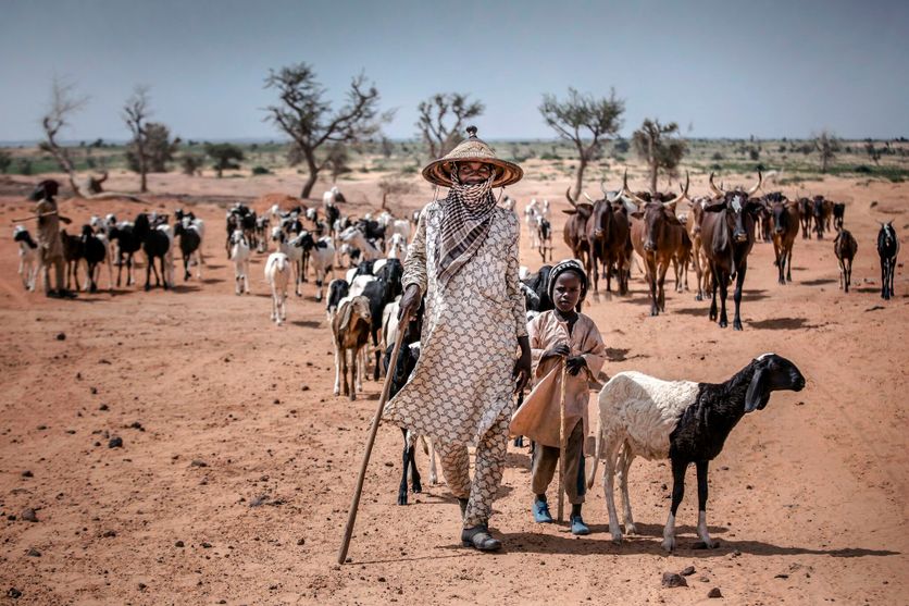 La COP17 : Focus sur la lutte contre la désertification des sols