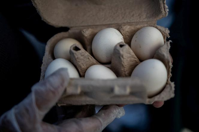 Trois producteurs d&rsquo;œufs sanctionnés pour entente sur les prix