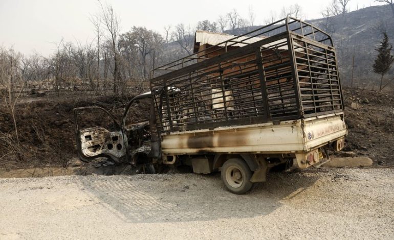 Incendies Dévastateurs dans le Nord de l’Algérie