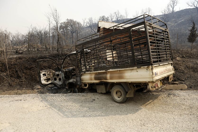 Incendies Dévastateurs dans le Nord de l’Algérie