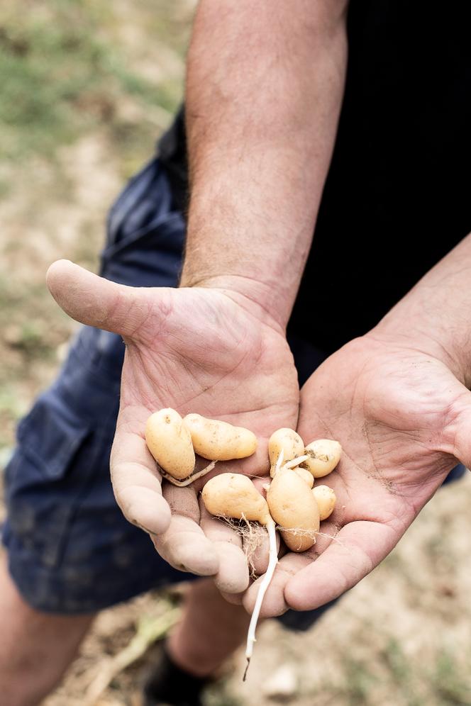 Les Grandes Enseignes Soutiennent les Agriculteurs Face à la Sécheresse