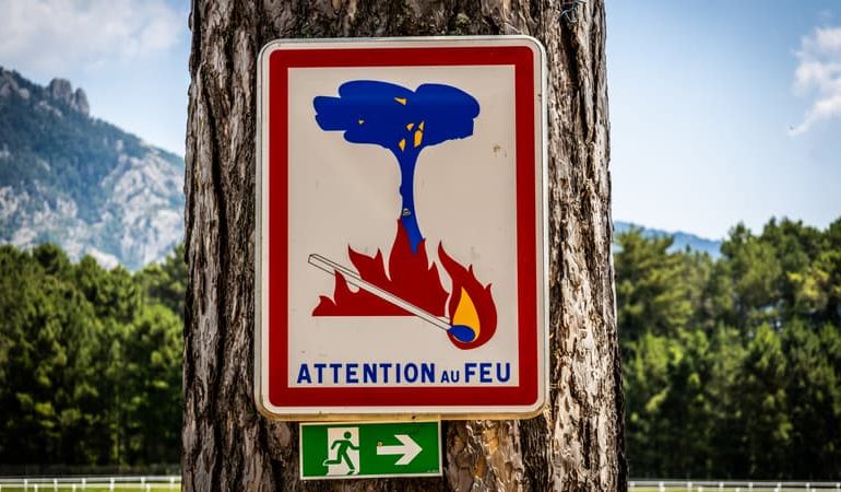 Alerte Sécheresse et Risque de Feu de Forêt en France