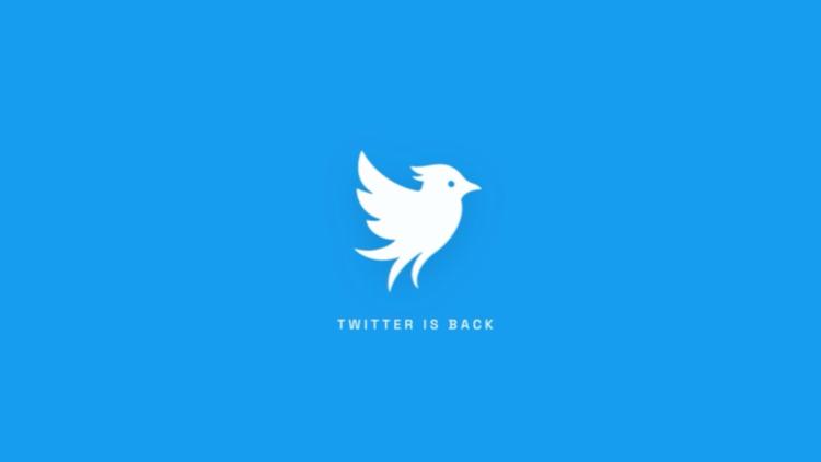Une startup veut faire renaître Twitter pour contrer Elon Musk