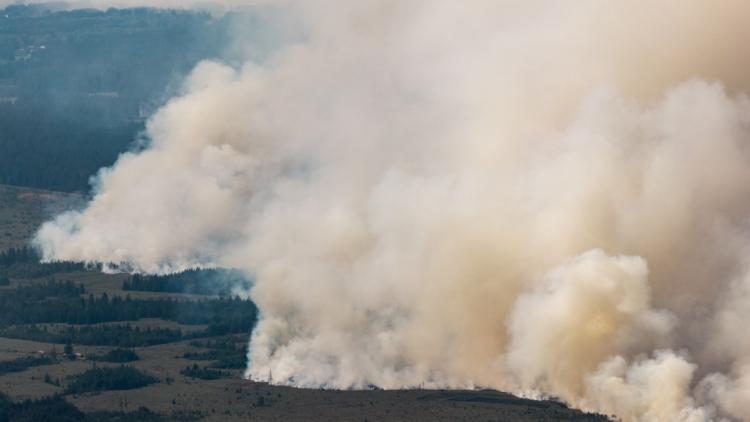 Incendies en Belgique : l&rsquo;Allemagne craint pour ses frontières