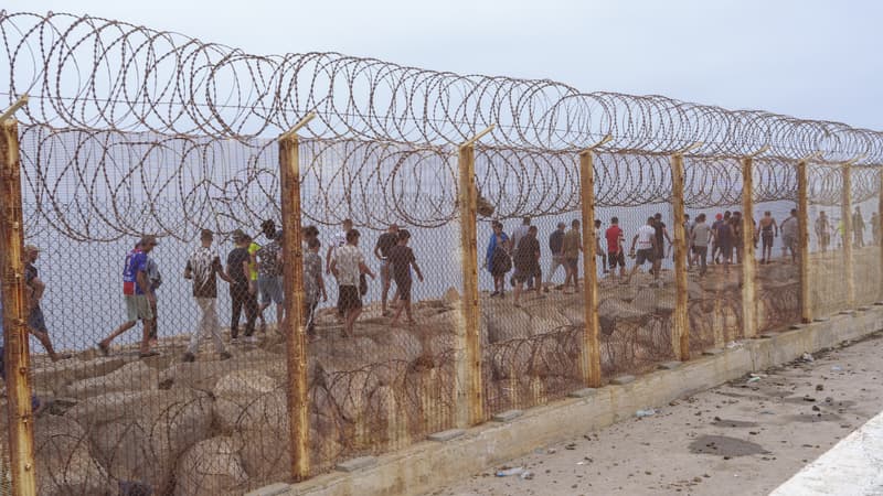 Meta et Tiktok renforcent la lutte contre la désinformation à Ceuta