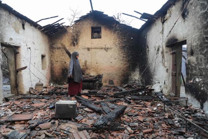 Incendies dévastateurs en Algérie : bilan et répercussions