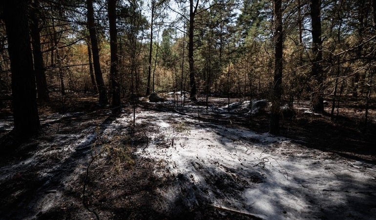 Le Massif de Fontainebleau Déclaré Éteint