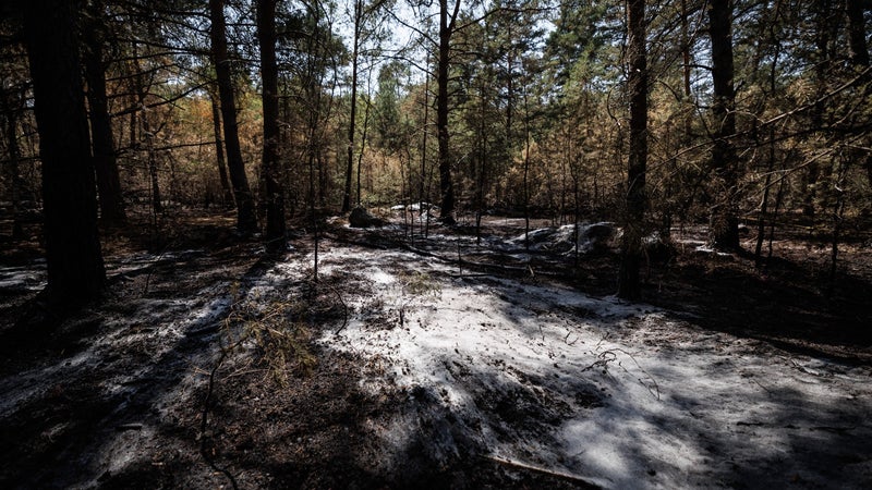 Le Massif de Fontainebleau Déclaré Éteint
