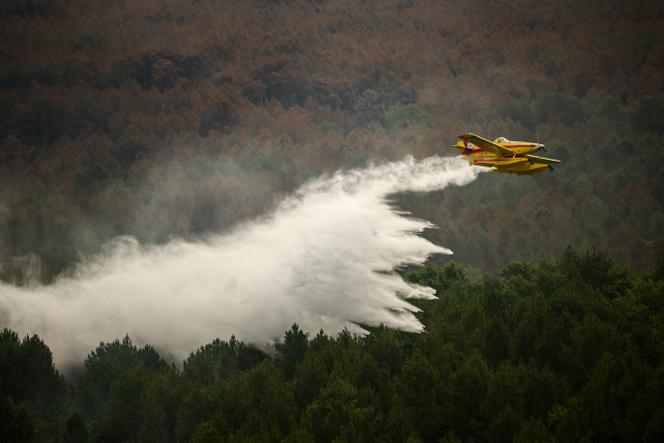 Les incendies en Gironde : un bilan historique