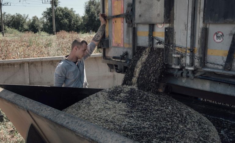 La lutte des exploitants agricoles ukrainiens face aux obstacles d&rsquo;exportation