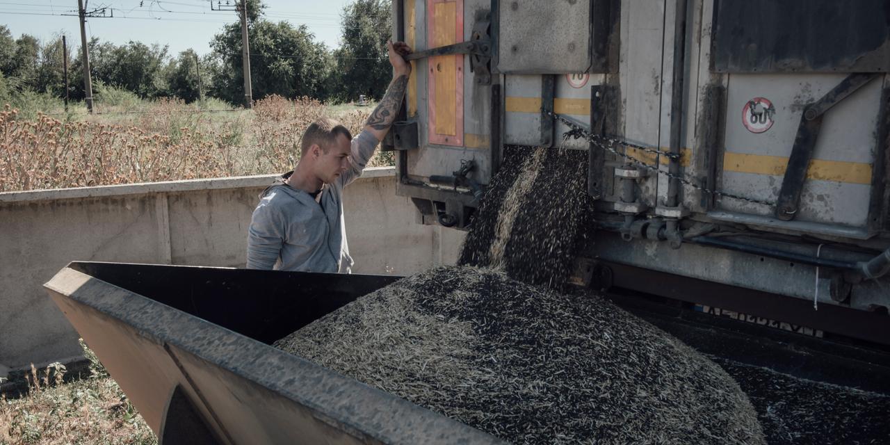La lutte des exploitants agricoles ukrainiens face aux obstacles d&rsquo;exportation