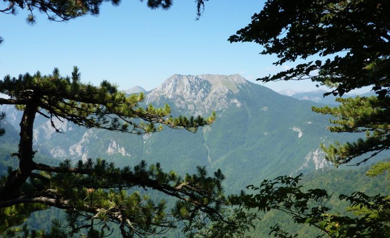 La forêt primaire de Perucica : un sanctuaire sauvage depuis des millénaires