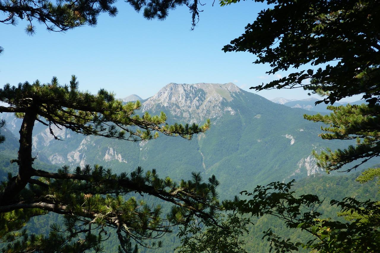 La forêt primaire de Perucica : un sanctuaire sauvage depuis des millénaires
