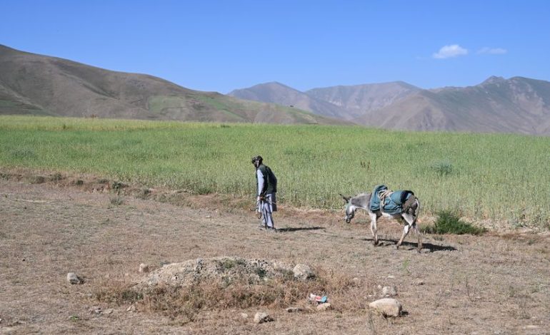 Les Impactes de l&rsquo;Extraction d&rsquo;Or en Afghanistan : Une Réalité Compliquée