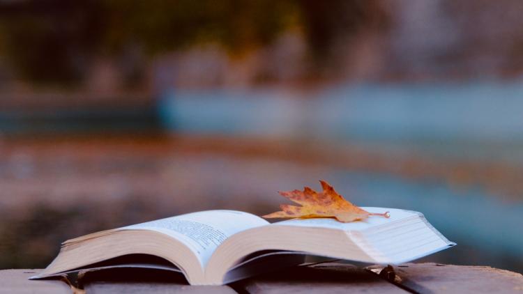 Les thrillers psychologiques de la rentrée littéraire