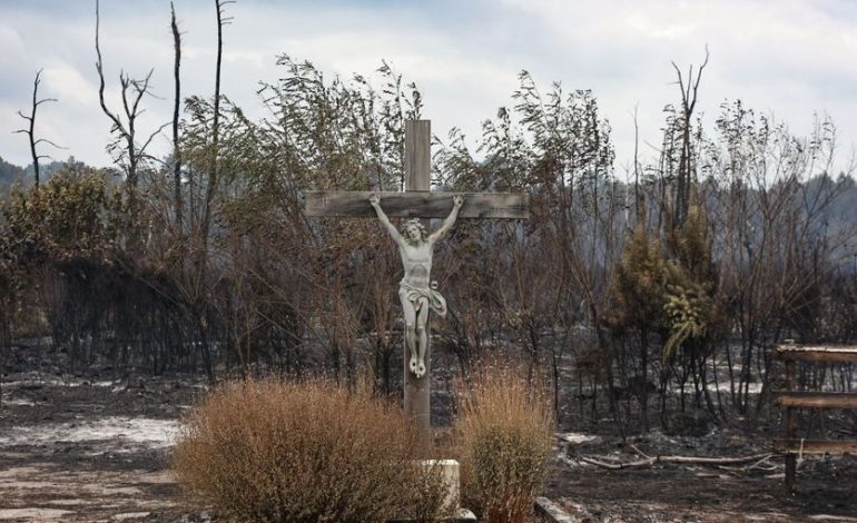 Le sentiment de désolation face aux incendies en France