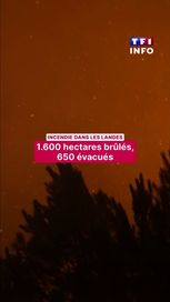 Le feu de forêt dans les Landes: une bataille continue