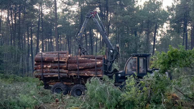 Enquête demandée sur un pare-feu illégal lors d&rsquo;un incendie en Gironde