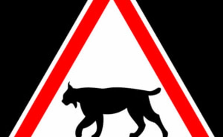 Des panneaux pour protéger le lynx du Jura