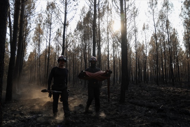 Incendies en Gironde et dans le Var