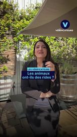 Les animaux ont-ils vraiment des rides lorsqu&rsquo;ils vieillissent ?
