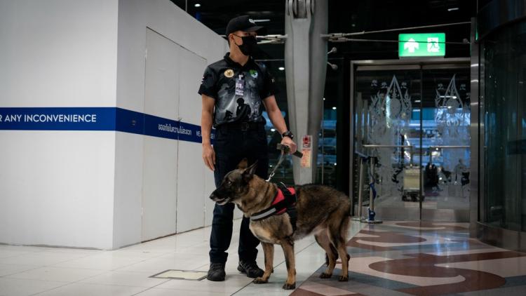 Arrestation de jeunes Français en Thaïlande avec du cannabis
