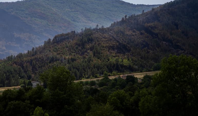 Incendies dans la Drôme : plus de 300 hectares touchés