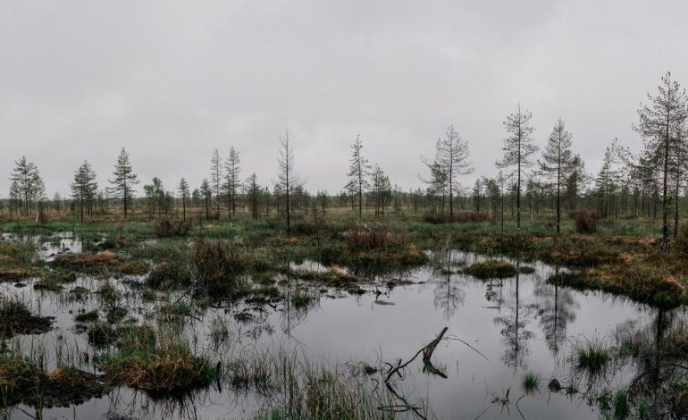 La restauration des zones humides en Finlande: un enjeu multiple