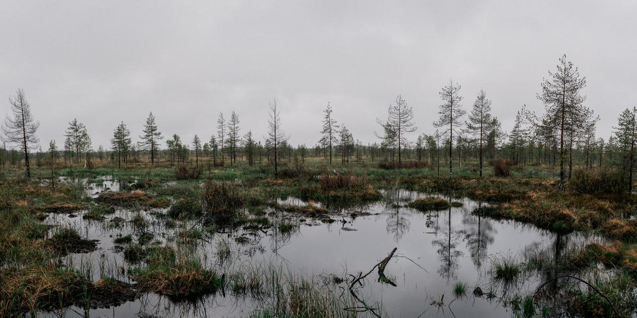 La restauration des zones humides en Finlande: un enjeu multiple