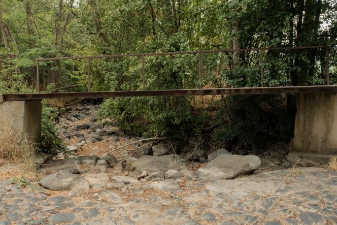 L&rsquo;importance cruciale des petits cours d&rsquo;eau pour les écosystèmes