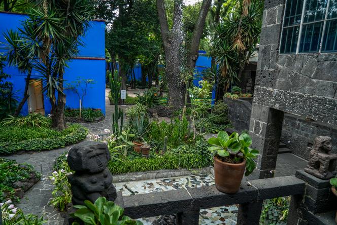 Le Jardin de Frida Kahlo: Un Hommage aux Espèces Endémiques