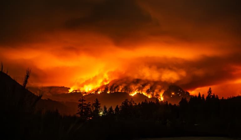 Incendie de forêt en Colombie-Britannique