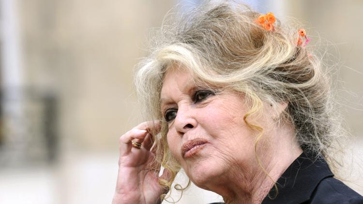 La vente aux enchères de souvenirs de Brigitte Bardot