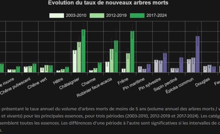 La progression inquiétante de la mortalité des arbres en France