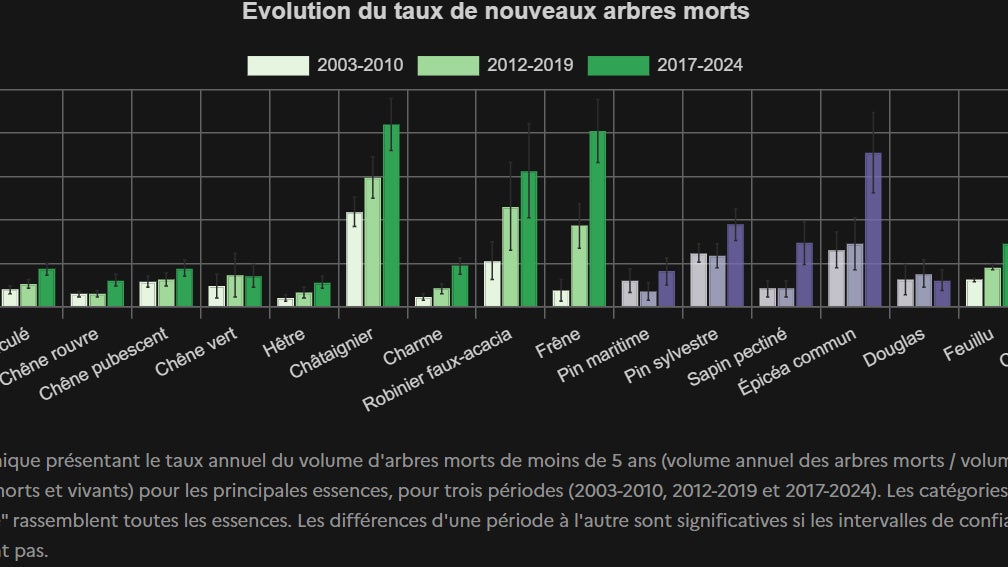 La progression inquiétante de la mortalité des arbres en France