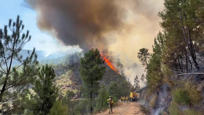 Les autorités espagnoles luttent contre un incendie près de Madrid