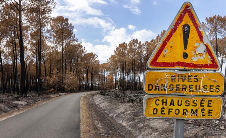 Incendies dévastateurs : le témoignage de deux maires face à la crise