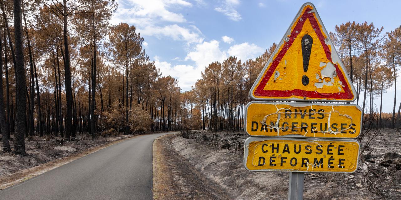 Incendies dévastateurs : le témoignage de deux maires face à la crise
