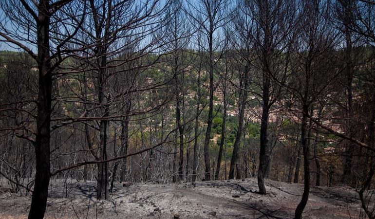 Incendie du Gros Bessillon : feu maîtrisé mais vigilance maintenue
