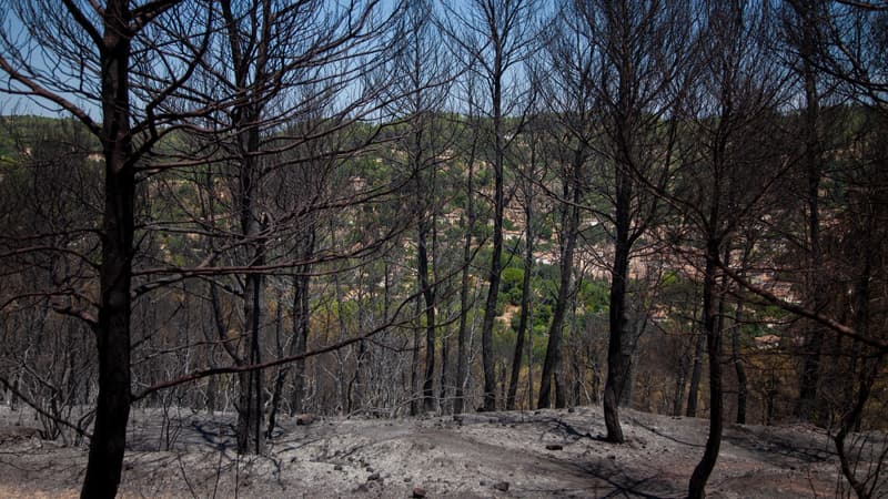 Incendie du Gros Bessillon : feu maîtrisé mais vigilance maintenue