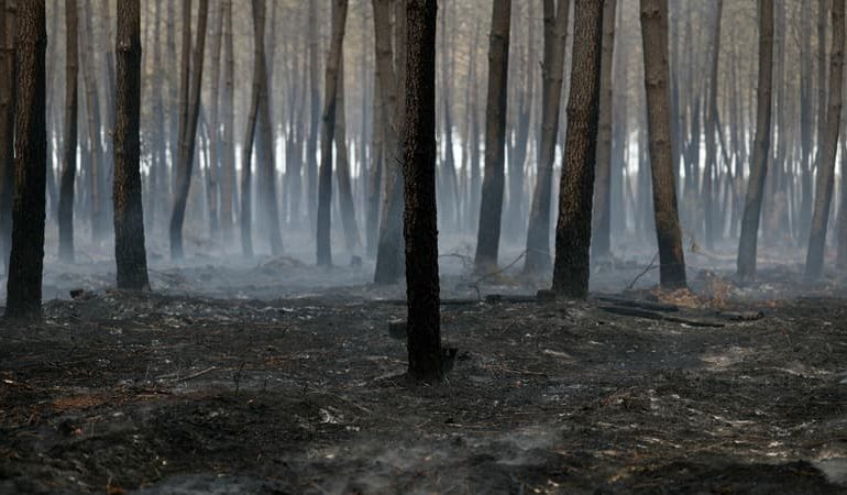 Reconstruction après l&rsquo;incendie en Gironde
