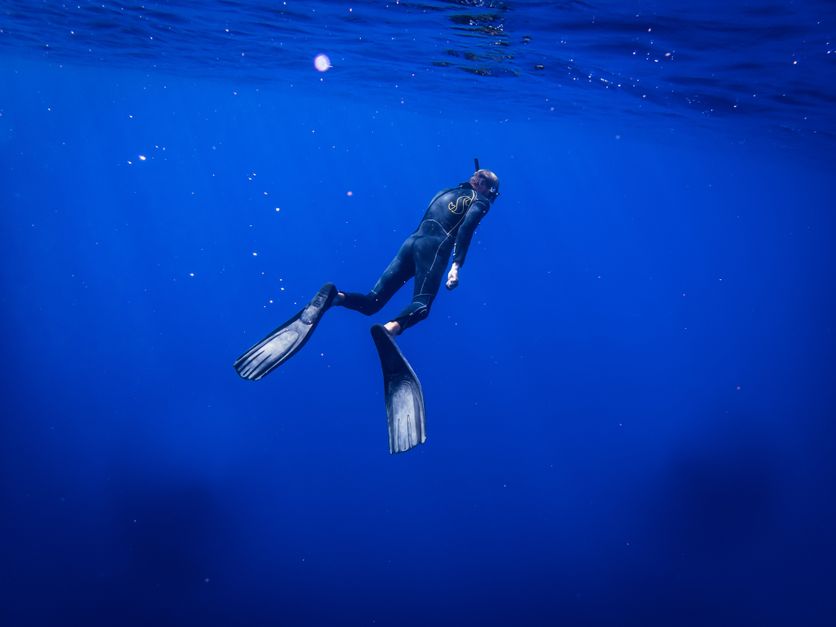 Ce qui nous frôle sous la surface : Une exploration captivante des profondeurs