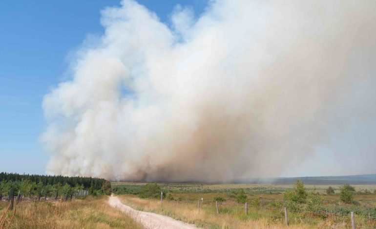 Incendies en Belgique, en France et en Europe : l&rsquo;ampleur des dégâts