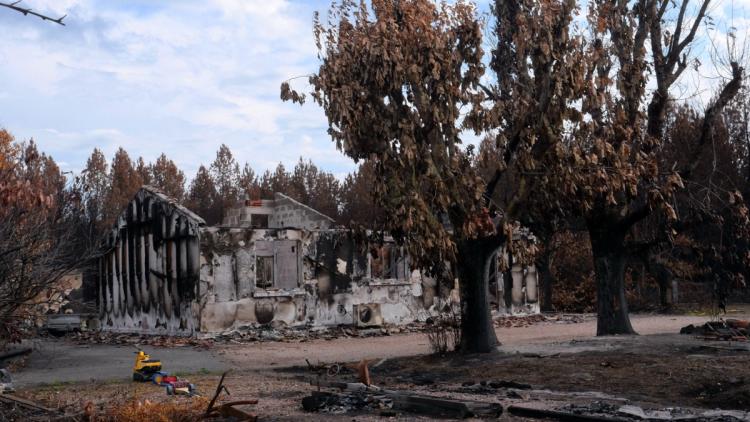 Les Incendies de l&rsquo;Été 2026 : Un Bilan Économique et Humain